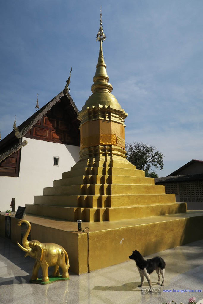 Wat Nam Hu，感觉泰国寺庙没有狗就不算寺庙了