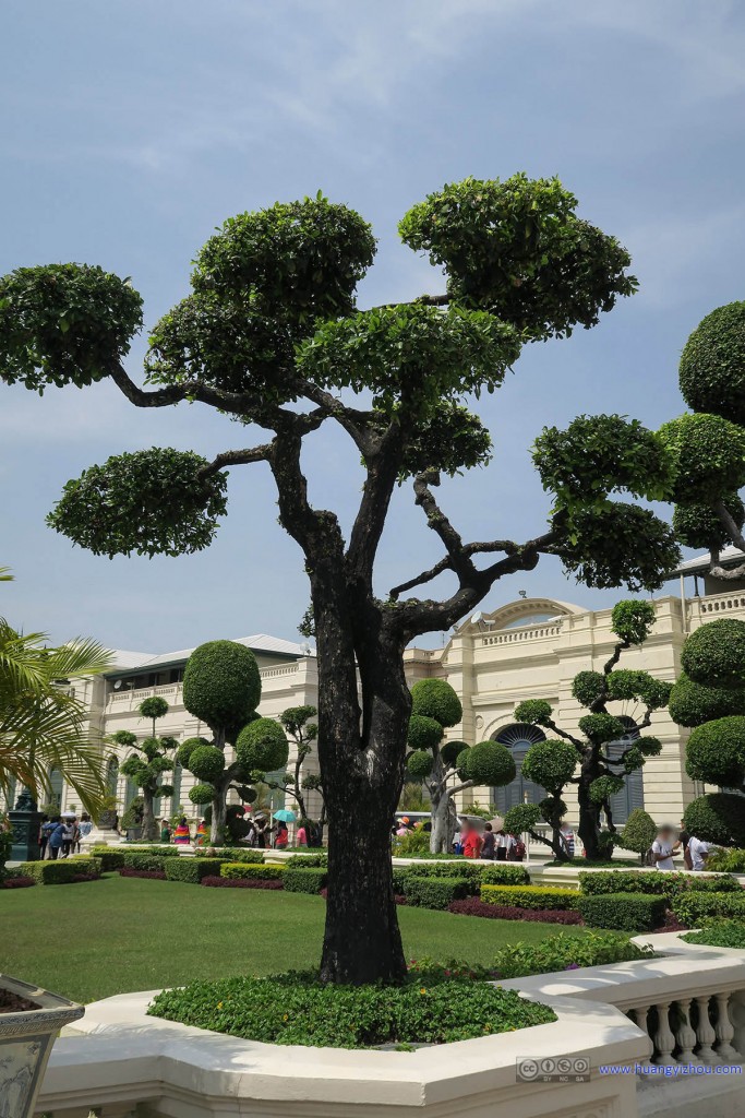 节基皇殿前面，植物修剪地很有意思