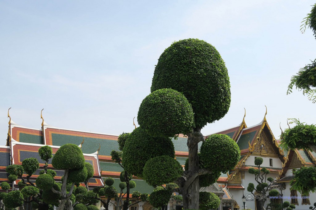 植物的修剪与魔天宫殿群