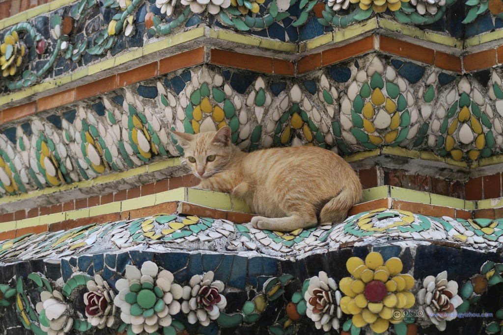 卧佛寺的东北角，这里好像有众多猫聚集，无责任猜测是寺庙食物的投放点