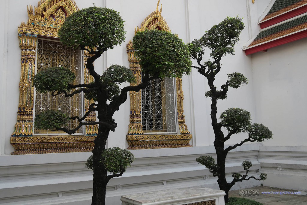 卧佛寺内部，一些打理较好的植物装饰