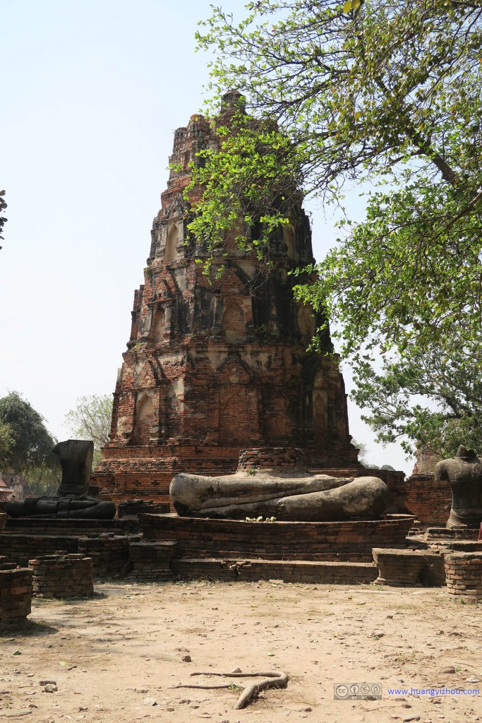 Wat Maha That，想象一下这原本应该是一尊非常大的佛像，现在已经被绿叶盖过了