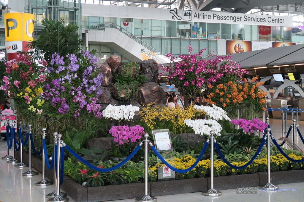 素万纳普机场值机区的花卉