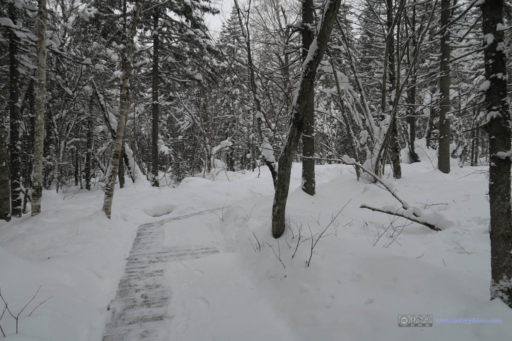 长白山大峡谷里面的道路，一大早景区工作人员优先把半边道路的雪给扫掉了