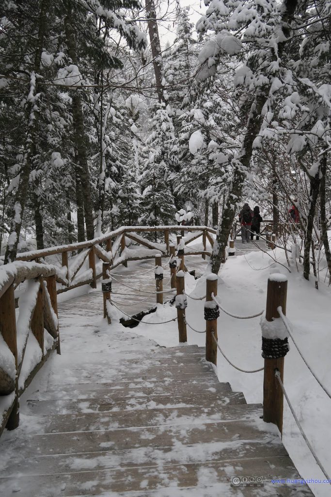 长白山大峡谷，这是景区里面沿着峡谷的路