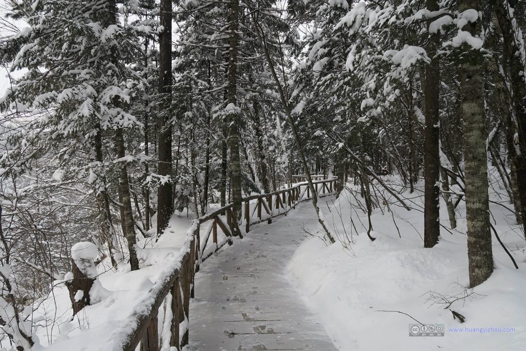 景区里面的通道，地上的雪明显是扫过之后又积起来的