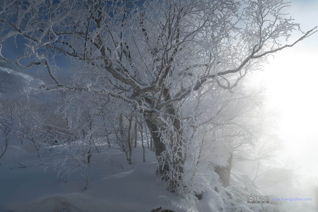 长白山瀑布景区里的雾凇。因为这里有温泉的缘故，雾凇的效果比后天的雾凇岛好太多了