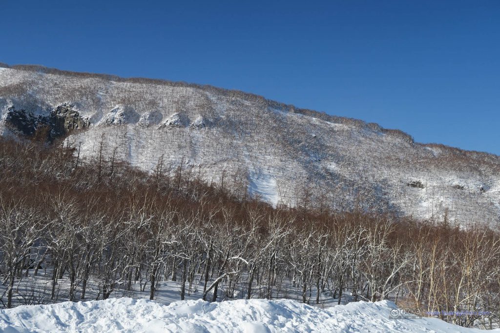 从长白山瀑布停车场拍到的，漫山的枯枝