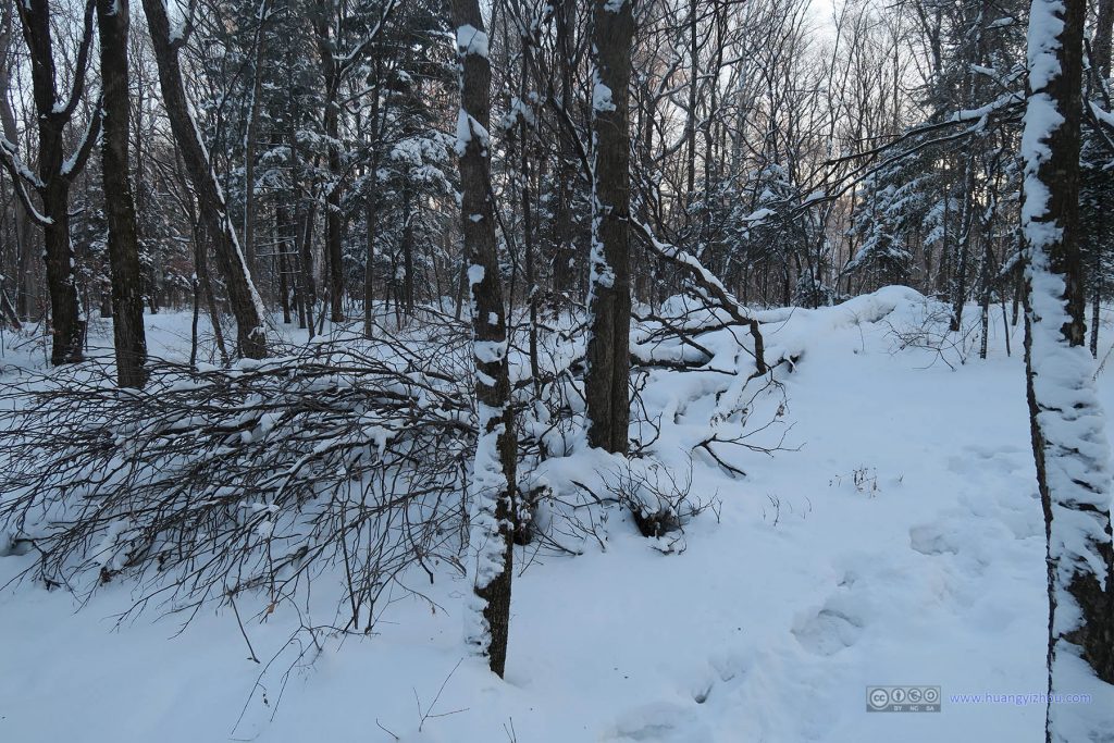 魔界风景区内，雪地里本人创造的足迹