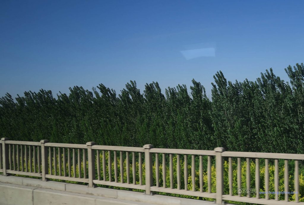京津城际上的风景，蓝天下绿树丛，颜色非常之纯