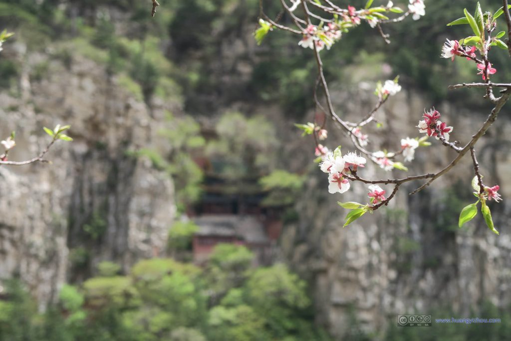 五月春花